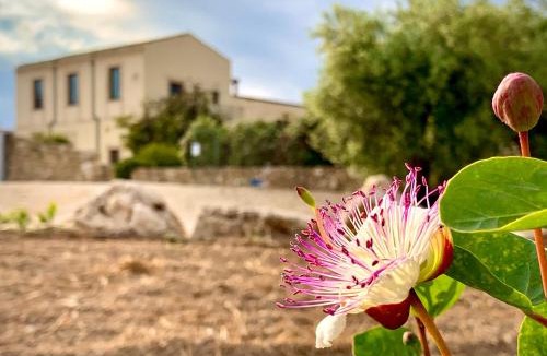 Noto House | Pantanelli Di Vendicari