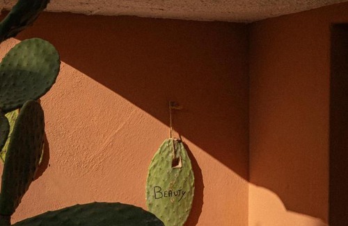 Casamicciola Terme Hotel | Paradise Relais Villa Janto'