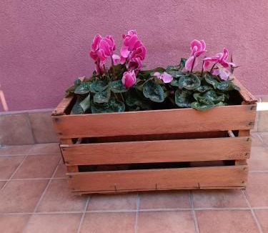 Gravina di Catania Apartment | Peppe's house