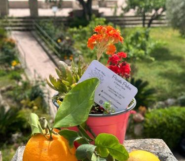 Melilli Apartment | Piccolo Podere