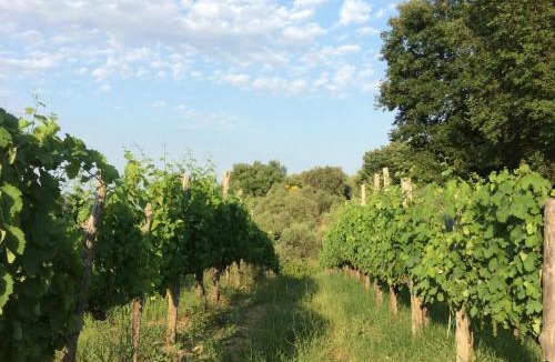 Castelvetere sul Calore House | Relais de Beaumont