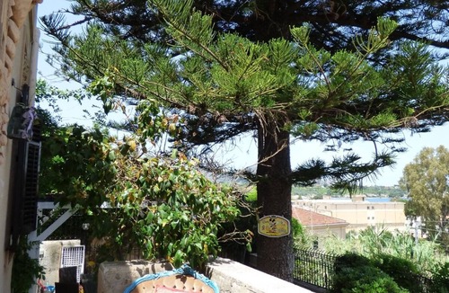 Casteldaccia Cottage | Relais dei Mori Home Palermo