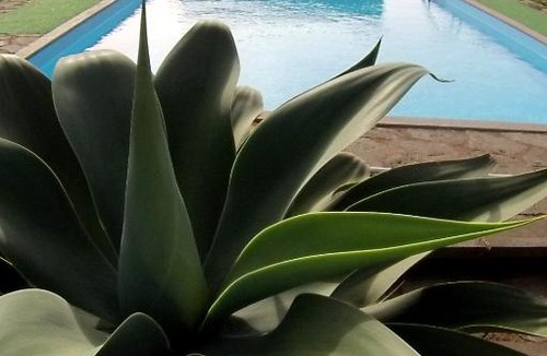 Pantelleria Apartment | Residence Cuore Mediterraneo