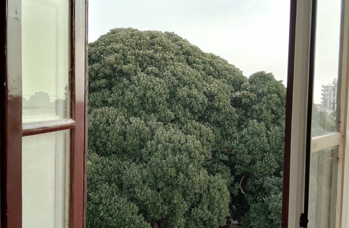 Corso dei Mille - Sant'Erasmo Apartment | Rooftop mansion