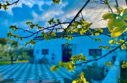 Castelvetrano Apartment | Room 'Ulivi' with shared garden, Wi-Fi and air conditioning