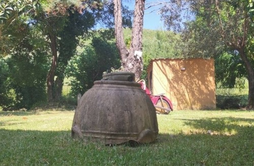 San Giovanni a Piro Villa | Scario villa with large garden.