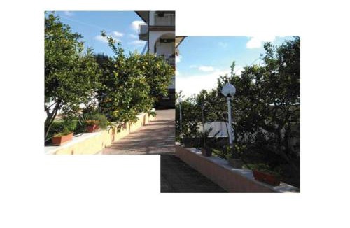 Augusta Apartment | Sempre verde