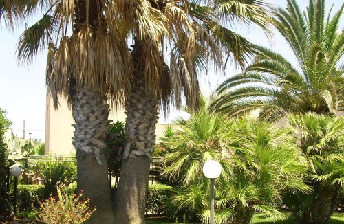 Santa Maria del Focallo Villa | Sicily, Spacious villa by the sea with garden in Santa Maria del Focallo, Ispica