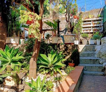 Cannizzaro House | Spacious Entire Apartment - Sicilian Design - by Sea with Garden & Parking
