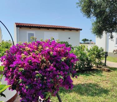Carini House | Sweet Sicily Apartments