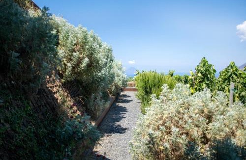 Quattropani Resort | Tenuta di Castellaro Winery & Resort
