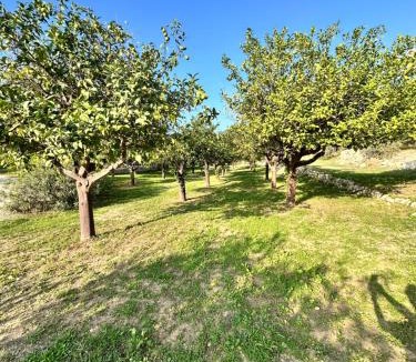 Avola Villa | Tenuta Fico d'India - Casa Aliva