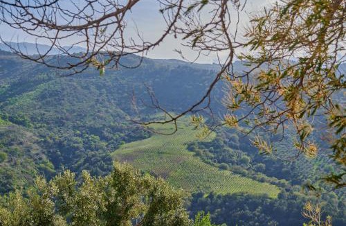 Pollina House | Tenuta Luogo Marchese