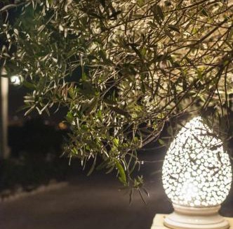 Noto House | Tenuta Olive Alive