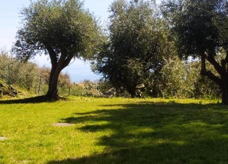 Santa Venerina Apartment | Tenuta Petronilla