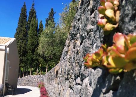 Santa Venerina Apartment | Tenuta Petronilla