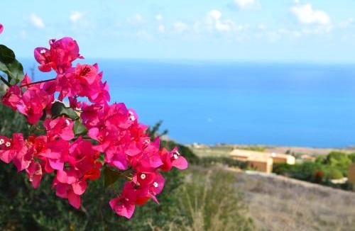 Scopello House | Terrazza Sarmuci di Scopello