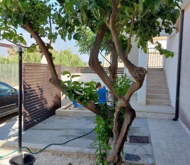 Punta Secca House | Terrazzo il Limone