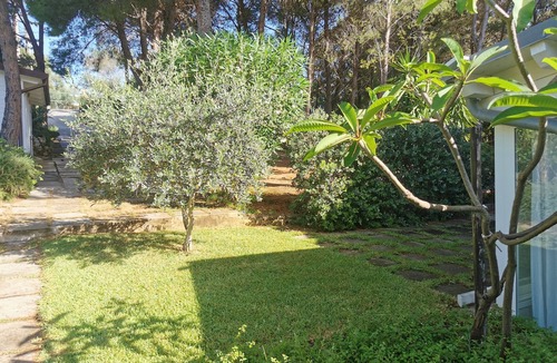 Scopello Villa | The Rhinoceros House - Scopello