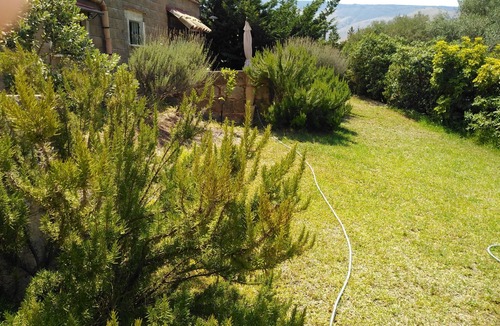 Castelluzzo House | The strawberry tree apartment