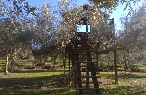 Enna House | Tree House in an organic farm
