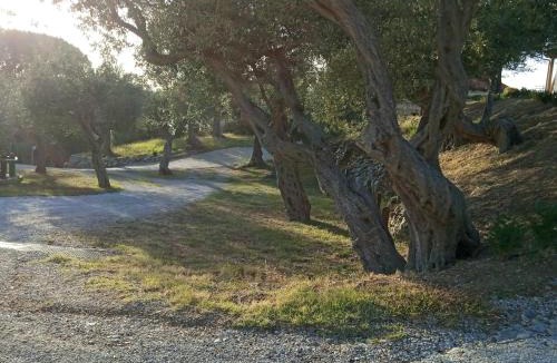 Province of Messina House | Twin Villas