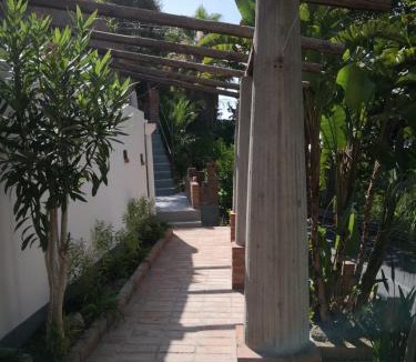 Naso Apartment | Un'oasi tra i limoni