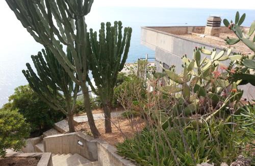 Bagheria Apartment | Vero Sicily - Villa Acqua Chiara
