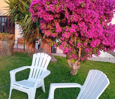 Paceco Bed & Breakfast | villa amodeo