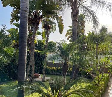 Calabernardo House | Villa Antonella