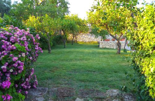 Syracuse House | Villa Belfronte