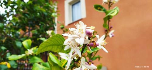 Mazzarino House | Villa Bonaffini