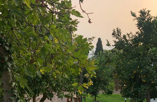 Valverde Villa | Villa Bonanno Conti