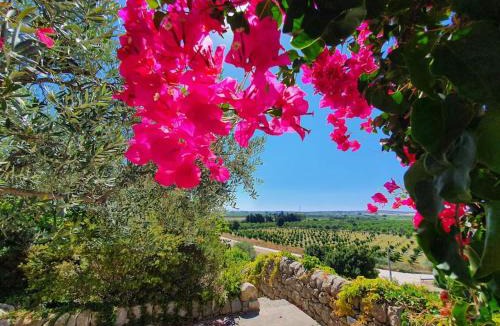 Noto Apartment | Villa Calma