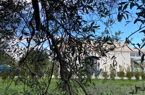 Gallina Villa | Villa Caponegro