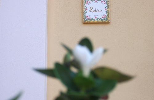 Scillichenti Apartment | Villa Carati