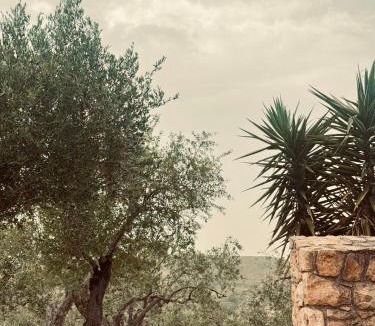 Collesano House | Villa Cattleya