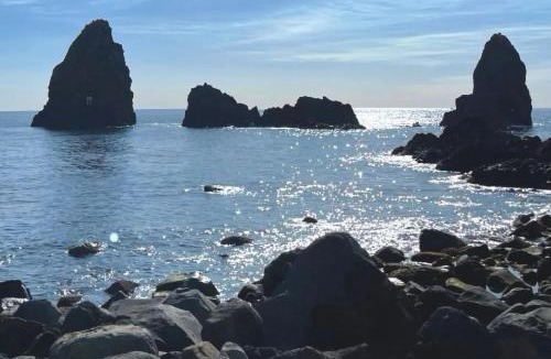Aci Sant'Antonio Villa | Villa Etna da mare