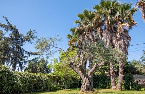 Aci Sant'Antonio Villa | Villa Etna da mare