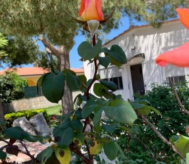Punta Milocca House | Villa Fiori giardino, 400 m. mare con parcheggio