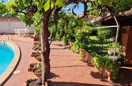 Mascalucia Apartment | Villa Flori