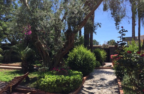 Aci Sant'Antonio Villa | Villa Gialla dell'Etna