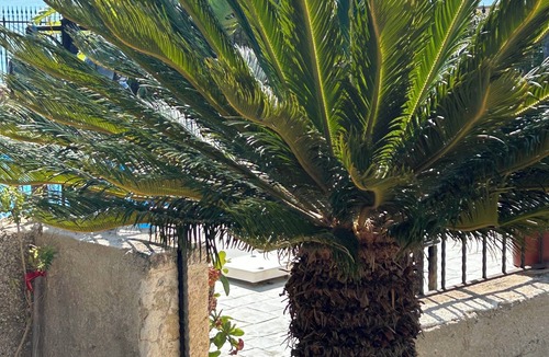 Palma di Montechiaro Apartment | Villa Ibisco, com Piscina e Vista Mozzafiato