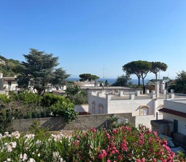 Ischia Porto House | Villa immersa nel verde