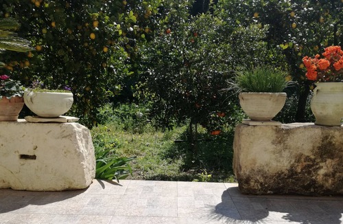 Avola Villa | Villa immersed in a lemon grove, 500 meters from the baroque center of Noto