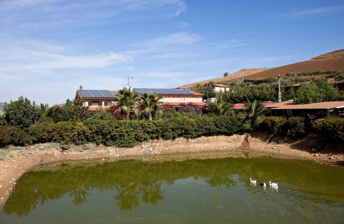 Alia House | Villa in Alia with Pool & Olive Views