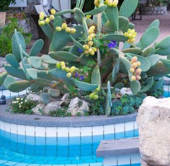Vico Equense Bed & Breakfast | Villa Ketty Resort