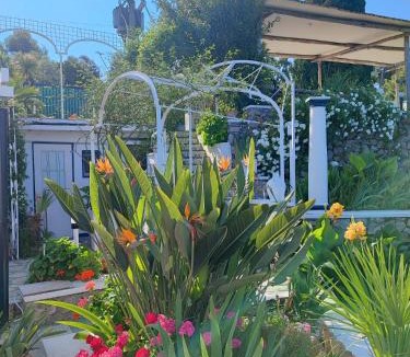 Anacapri Bed & Breakfast | villa la guardia