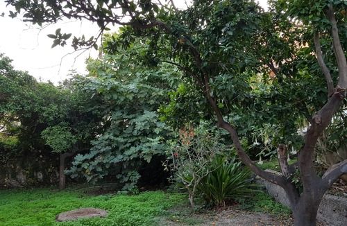 Capo Peloro Villa | Villa Labruto - Acqua Studio with garden and private parking.