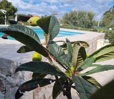 Plemmirio House | Villa Leale